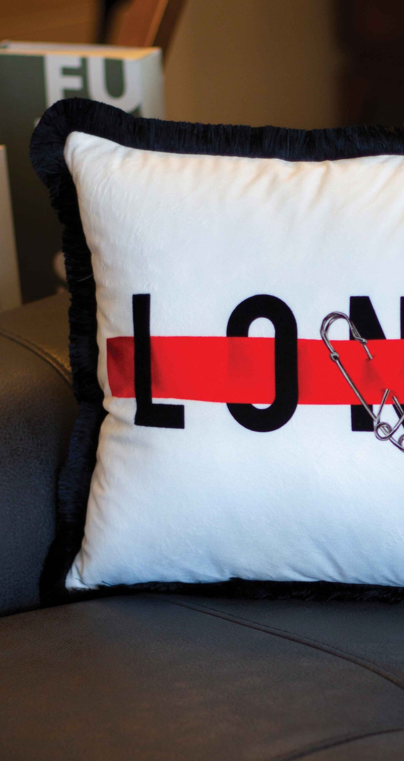 Coussin EY276 – Image 3